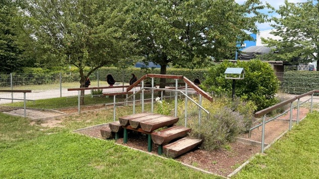 Kinderleben Buchholz
